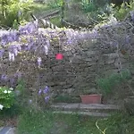 La Civetta Nocleg ze śniadaniem