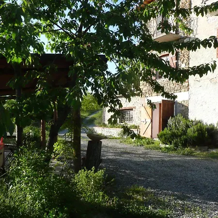 La Civetta *