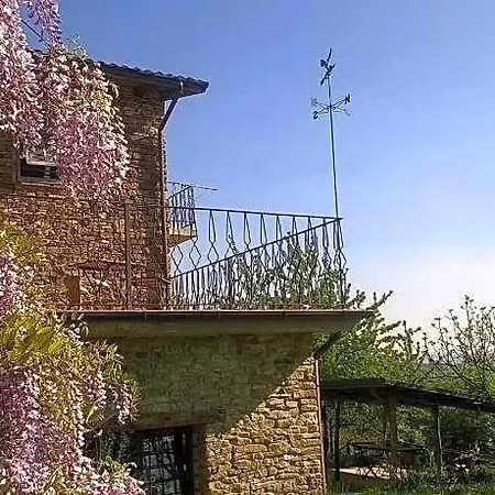 La Civetta 3*