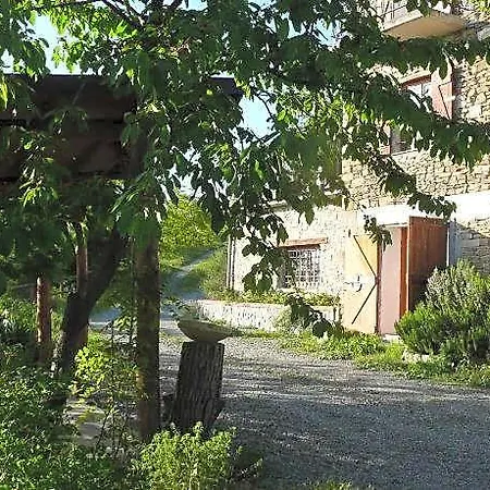 La Civetta